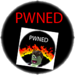 Meta Pwn badge icon